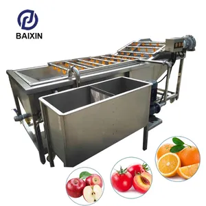 Dry Fruit Washing Machine/Raisin Cleaning Machine /Dry Fruit Processing Machine