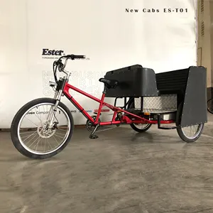 ESTER 5 kişilik yeni stil Pedicab elektrik pili Yüksek Kaliteli Çekçek, üç tekerlekli bisikletler ile MAXXIS lastik