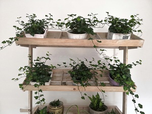 Kệ Hoa Chậu Bằng Gỗ 3 Tầng Kệ Trưng Bày Chậu Cây Có Bánh Xe - Product Image 3