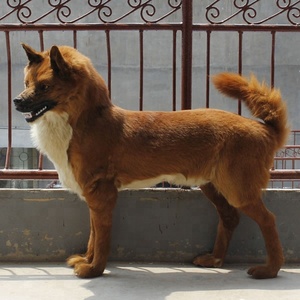 OEM mevcut yaşam boyutu gerçekçi köpek manken için satış - Product Image 3