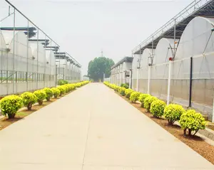 Tunnel Greenhouse Agricultural Multi-span Tunnel Cheap Greenhouse Farming Equipment