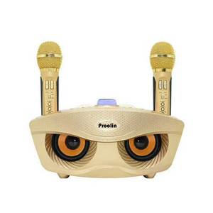 <span class=keywords><strong>Mini</strong></span> micro sans fil haut-parleur <span class=keywords><strong>Mini</strong></span> karaoké/chant/conférence <span class=keywords><strong>Mini</strong></span> haut-parleur Portable avec Double microphone série SD SD306 PLUS - Product Image 1