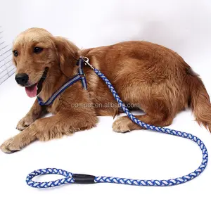 Tali anjing dada sabuk rantai anjing golden retriever