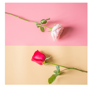 Fondo de Fotografía de PVC Impermeable y Resistente al Polvo, Fácil de Mantener, para <span class=keywords><strong>Estudio</strong></span> Fotográfico, 60x125cm, Rosa - Product Image 3