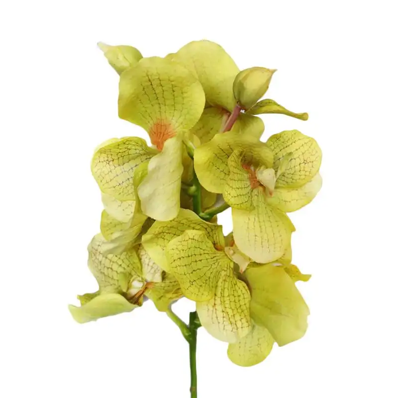 27''H 8 flowers 2 buds artificial Vanda orchid flowers realistic flowers real touch artificial