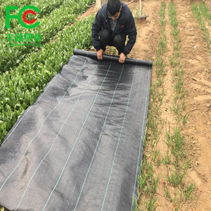 Plant Nurseries agricultural plastic Ground Cover fabric Weed Barrier polypropylene weed block fabric for Europe market