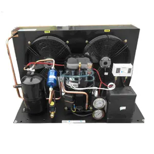 Unidade de condensação para armazenamento em câmara fria compressor TAG2516ZBR R404A 4HP baixa temperatura câmara fria unidade de condensação refrigerada a ar