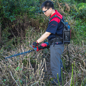 <span class=keywords><strong>Nplus</strong></span> 43cc กระเป๋าเป้สะพายหลังตัดแปรงด้วยตนเอง1.2kw ป้องกันความเสี่ยง Trimmer <span class=keywords><strong>NPLUS</strong></span> ผู้ผลิต - Product Image 5