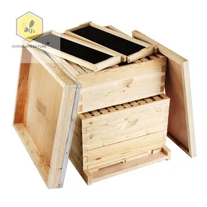 Caja de colmena langstroth, 2 capas, 8 o 10 marcos, colmena de abejas