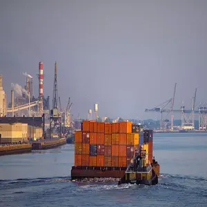 Rápida segura competitiva mar agente marítimo da China para Nova Iorque FBA armazém EUA