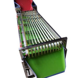 コマーシャルファームフルーツマシンオレンジウォールナットオニオンサイザーソーターグレーダーピッカー - Product Image 2