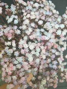 Color estrellado nórdicos creativa Decoración habitación DIY Artificial Gypsophila <span class=keywords><strong>acuerdo</strong></span> de aliento de bebé - Product Image 4