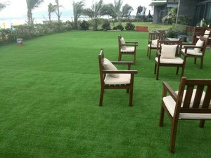 Campo de fútbol de césped impermeable tenis artificial hierba de <span class=keywords><strong>pampas</strong></span> para relajación al aire libre - Product Image 4
