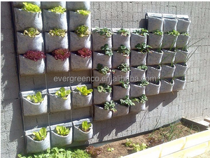 Systèmes <span class=keywords><strong>de</strong></span> jardinage muraux verticaux carrés <span class=keywords><strong>de</strong></span> taille personnalisée Jardinière suspendue pour la décoration intérieure Pots <span class=keywords><strong>de</strong></span> plantes muraux en plastique <span class=keywords><strong>Pot</strong></span> <span class=keywords><strong>de</strong></span> <span class=keywords><strong>fleurs</strong></span> <span class=keywords><strong>de</strong></span> style campagnard - Product Image 3