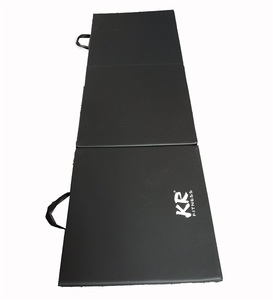 Vuelos a <span class=keywords><strong>casa</strong></span> de <span class=keywords><strong>gimnasia</strong></span> para la venta - Product Image 1