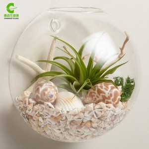 Macetas Colgantes de Pared, Terrarios de Vidrio, Recipientes Redondos para Plantas de Aire, Globos para Suculentas - Product Image 2