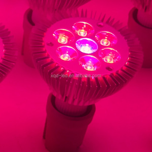 LED del espectro rey crece la luz cob 7 W / 9 W / 12 W e27 llevó la lámpara livarno lux llevó la lámpara de la igualdad - Product Image 2