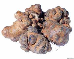gmp koscher natürliche panax <span class=keywords><strong>notoginseng</strong></span> wurzelextrakt - Product Image 2