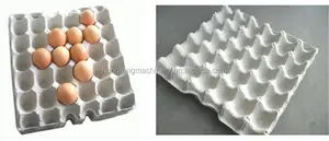 Kullanılan yumurta tepsisi makinesi