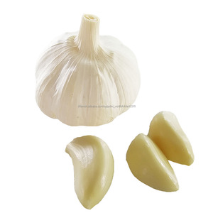 <span class=keywords><strong>Chine</strong></span> Nouvelle Récolte Naturel Ail Frais 5.5 cm FOB et CIF Prix - Product Image 6