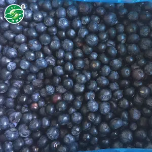 Großhandels preise für IQF Fruit Berry Frozen Blueberry