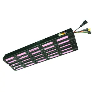 Freego उच्च शक्ति इलेक्ट्रिक स्कूटर के साथ हटाने योग्य 18650 सेल लिथियम-आयन बैटरी कुंजी अनलॉक