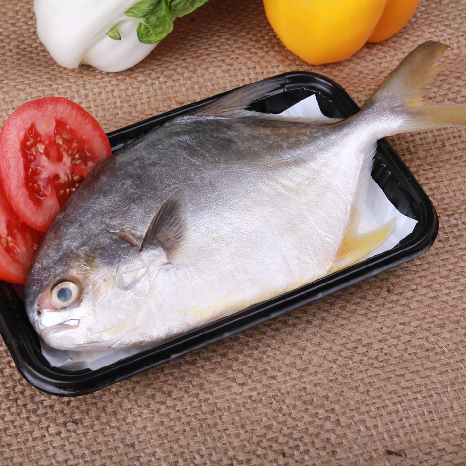 2025 Fluid Absorbent Pad For Fresh Food