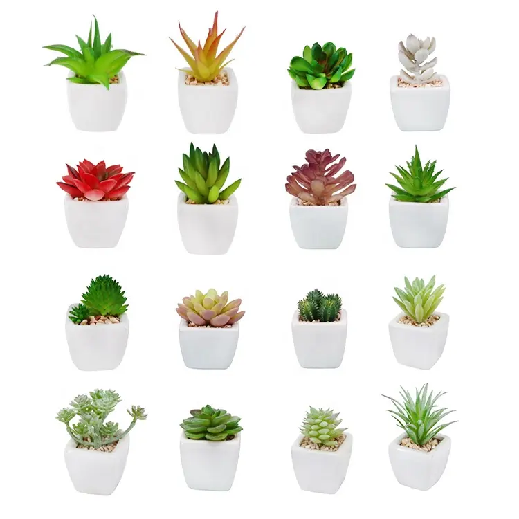 Mini plantas verdes de plástico tropical, plantas suculentas artificiales en macetas de cerámica blanca, venta al por mayor