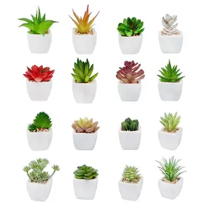 Mini piante verdi di plastica tropicale all'ingrosso piante succulente artificiali in vaso in vasi di ceramica bianca