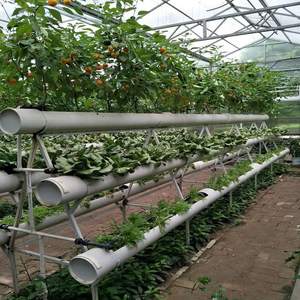 Sistema Hidropónico NFT de Gran Escala para Cultivo de Tomate y Pimiento - Product Image 2