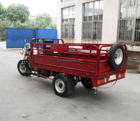Chine Offre Spéciale MTR 150cc/200cc/250cc refroidi à l'eau Tricycle de cargaison Tricycle à 3 roues pour les pays du Moyen-Orient