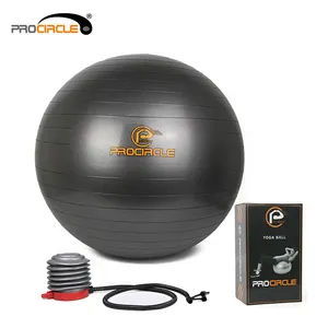 Wholesale Anti-burst Exercise Ball Yoga Ball