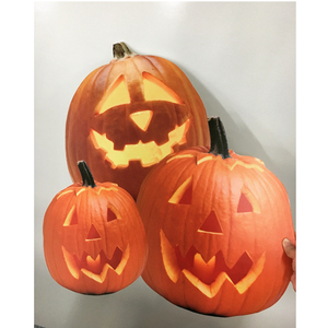 Gator Foam Board, Máy Bay Hội Đồng Quản Trị Bọt, Hội Đồng Quản Trị Bọt Cứng - Product Image 2