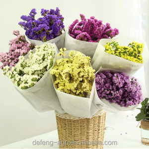 Pétalos de Flores Secas, Flor de Limonium Sinense para Decoración, No Me Olvides - Product Image 6