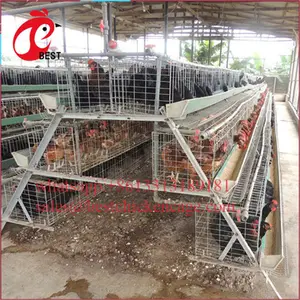 完全に自動化された128鳥の家禽ケージ金属繁殖ケージ鶏小屋を低価格でベストセラー