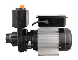 Pompe à eau haute pression, <span class=keywords><strong>12</strong></span> <span class=keywords><strong>volts</strong></span> dc, outils de stérilisation d'eau de mer, jet d'eau, moteur - Product Image 2