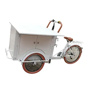 TUNE最新设计冰淇淋自行车食品卡车