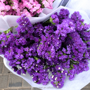 Pétalos de Flores Secas, Flor de Limonium Sinense para Decoración, No Me Olvides - Product Image 1