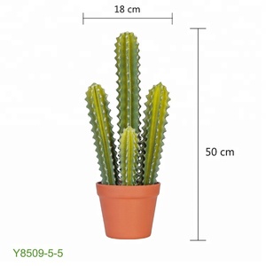 Cactus Artificial Estilo Areg de 50cm para Decoración del Hogar - Product Image 1