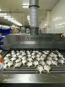 DJL Chất Lượng Cao Hải Sản Iqf Máy/Tủ Đông Công Nghiệp Đông Lạnh Tủ Đông Tunneling Thiết Bị Nhanh Freeze Máy - Product Image 5