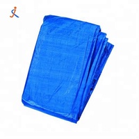 Bâche robuste en PEHD de 9 et 12 pieds, bleue, imperméable, pour camion et tente, style uni