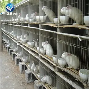 Factory price large 12 cages rabbit cage in kenya farm