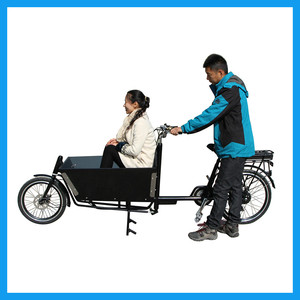 Holland 250 W Ebike Pedal assisted two wheels Load - Product Image 5