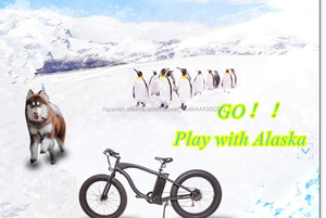 Alaska, corea del paquete de la batería 1500 w mejor potencia del motor grasa <span class=keywords><strong>bicicleta</strong></span> <span class=keywords><strong>eléctrica</strong></span> - Product Image 6