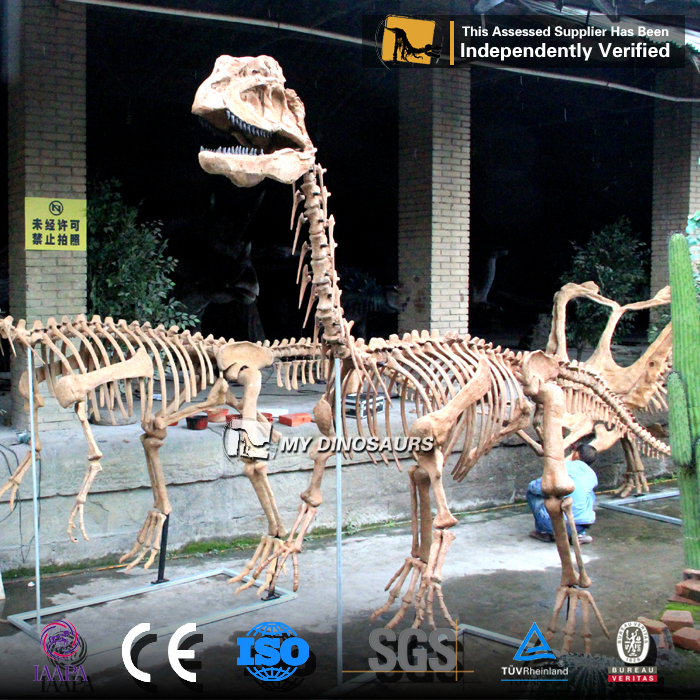 Z MYDINO博物館人工シミュレーション展示ディロフォサウルス恐竜