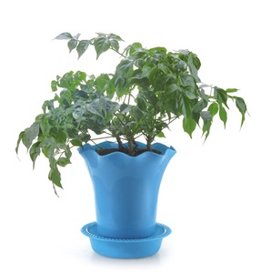 รดน้ำอัตโนมัติที่สวยงามกระถางดอกไม้พลาสติกขนาดเล็ก - Product Image 1