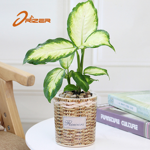 El más barato maceta <span class=keywords><strong>de</strong></span> plástico maceta, patrón <span class=keywords><strong>de</strong></span> mimbre jardín maceta <span class=keywords><strong>de</strong></span> interior y al aire libre - Product Image 2