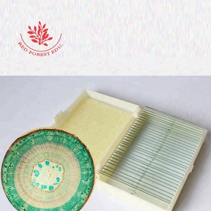 Tige de Tilia Section transversale Image de microscope typique Tige de Xylophyta Dicotylédone Lames de microscope préparées - Product Image 3