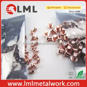 Electrical Silver Contacts Pure Bimetal Trimetal AgSnO2 Electrical Silver Contact