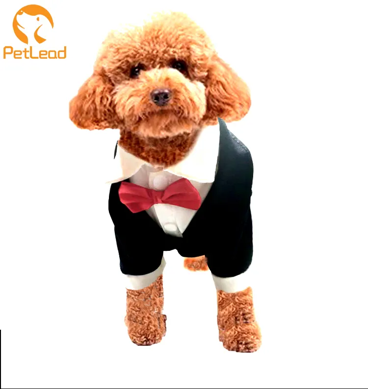 Summer Suit pants white shirt with red bows dog grooming clothes dog clothes closet top paw dog clothes